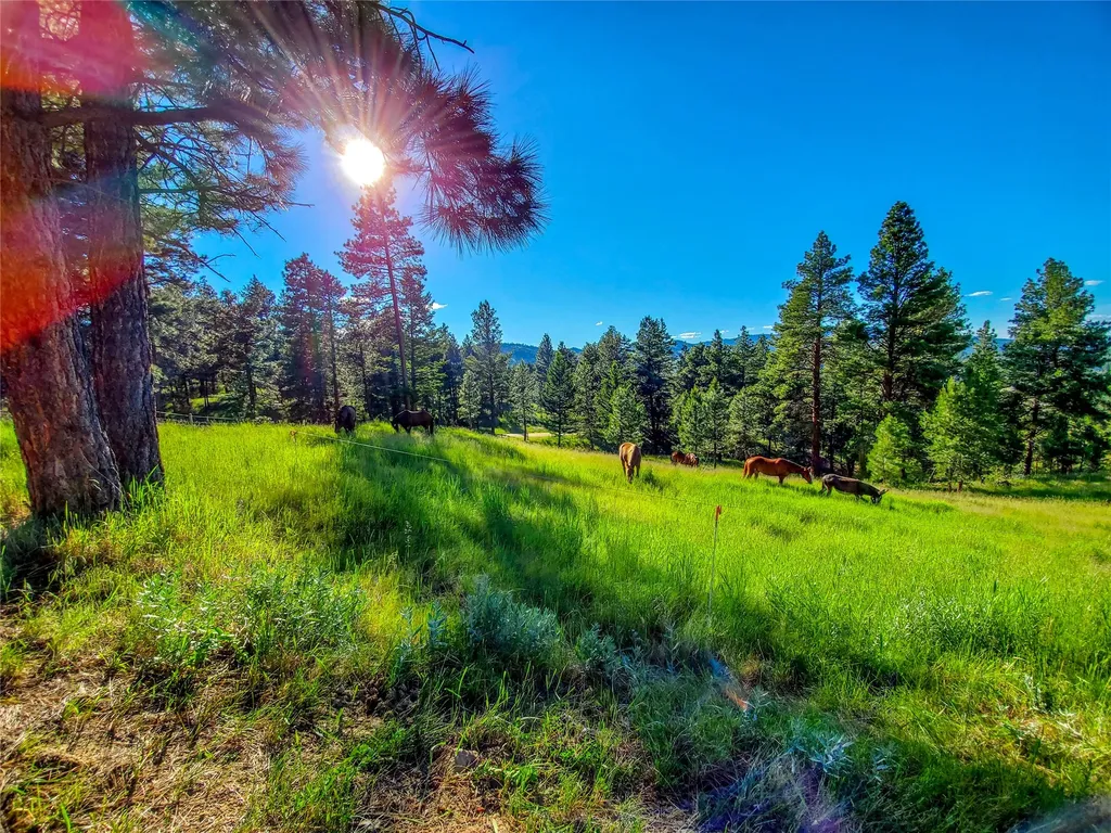 5 Alpine Valley Lane Clancy MT 59634