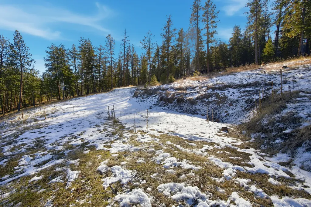 10570 Horseback Ridge Road Missoula MT 59804
