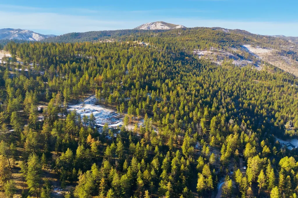 10570 Horseback Ridge Road Missoula MT 59804