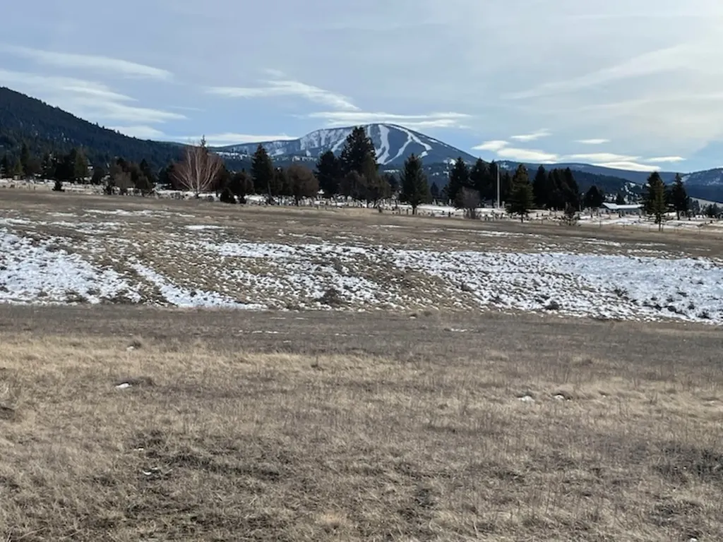 Tract 60 Whiskey Flats, Stevie Lane Philipsburg MT 59858