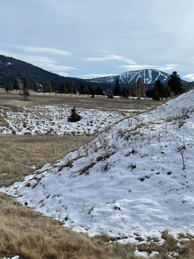 60 Stevie Lane Philipsburg MT 59858