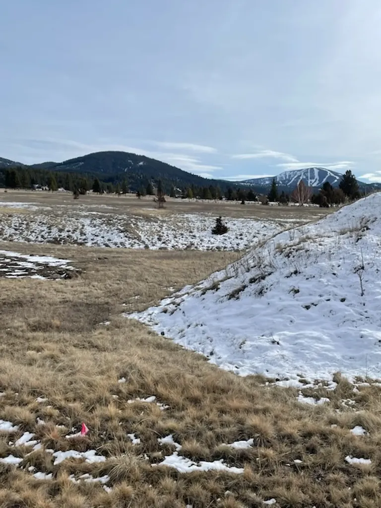 60 Stevie Lane Philipsburg MT 59858
