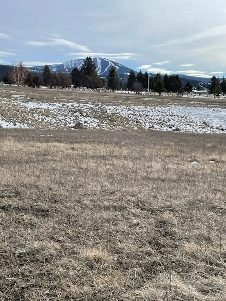 60 Stevie Lane Philipsburg MT 59858