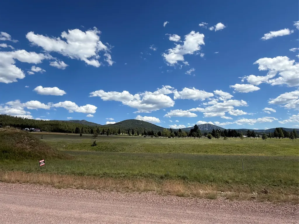 Tract 60 Whiskey Flats, Stevie Lane Philipsburg MT 59858