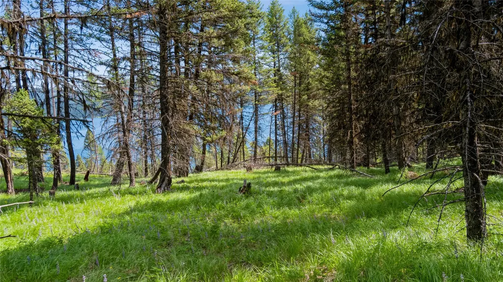 4154 Ashley Lake Road Kalispell MT 59901