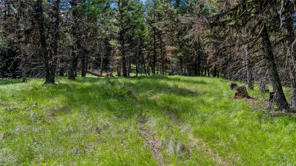 4154 Ashley Lake Road Kalispell MT 59901