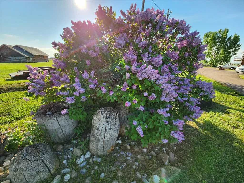 630 18th Road NW Choteau MT 59422