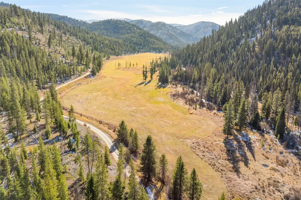 Nhn W Fork Road Darby MT 59829