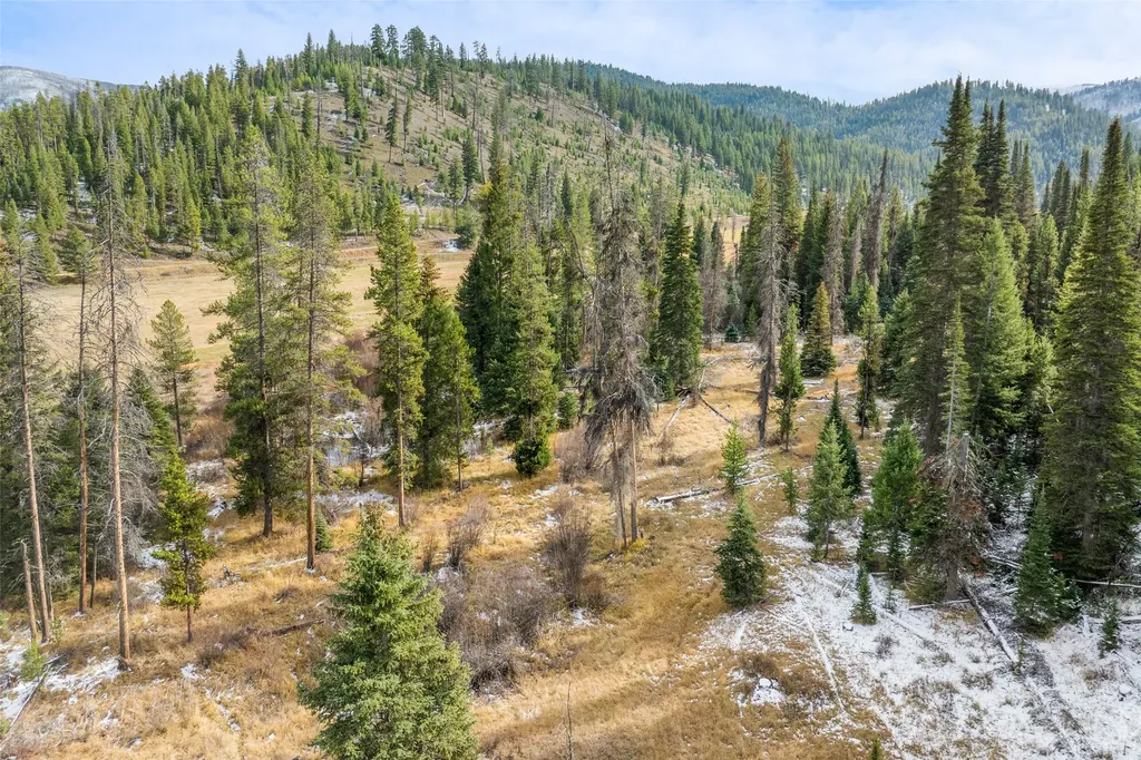 Nhn W Fork Road Darby MT 59829