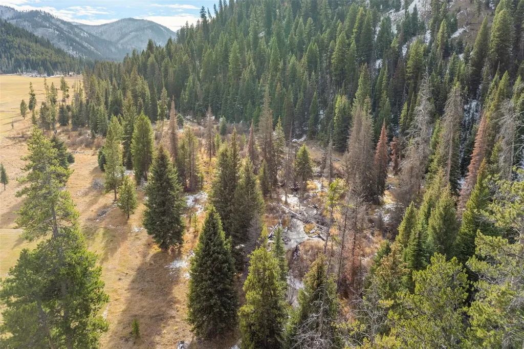 Nhn W Fork Road Darby MT 59829