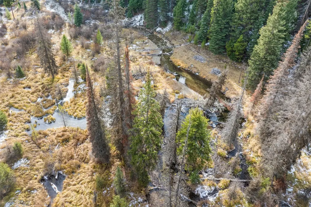 Nhn W Fork Road Darby MT 59829
