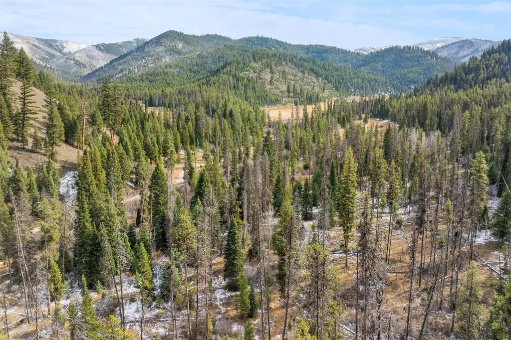 Nhn W Fork Road Darby MT 59829