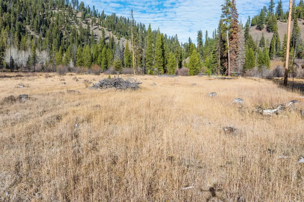 Nhn W Fork Road Darby MT 59829