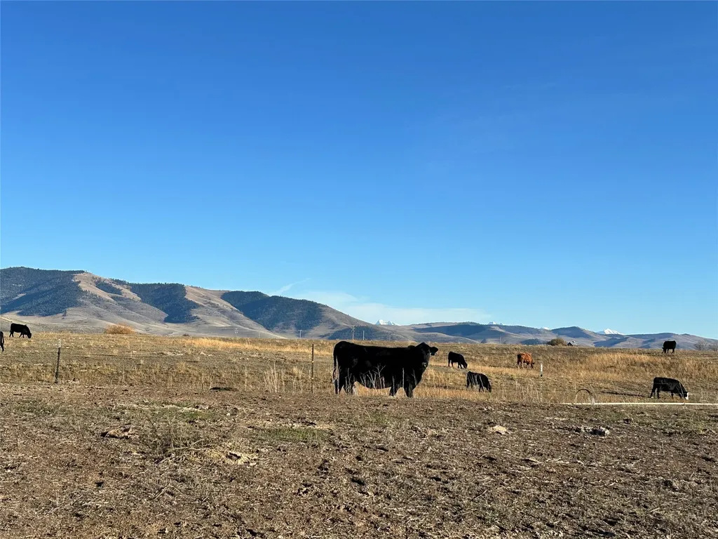 Nhn Red Barn Road Hot Springs MT 59845