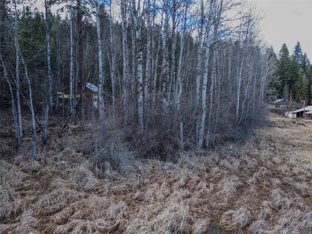 82 Pioneer Road Libby MT 59923