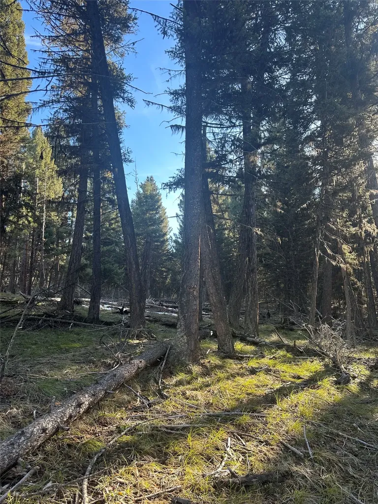 1274 Grandview Drive Seeley Lake MT 59868