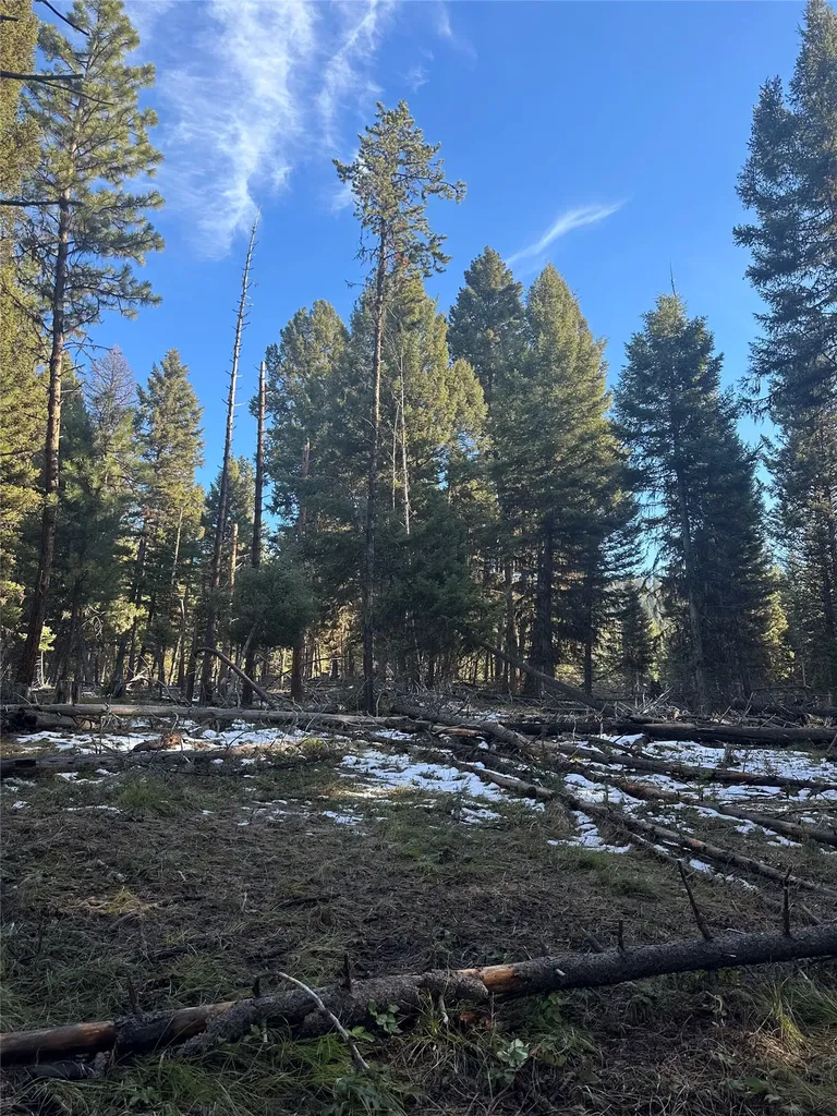 1274 Grandview Drive Seeley Lake MT 59868