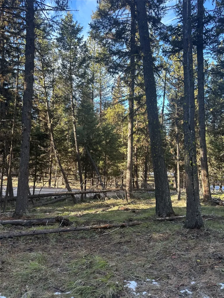 1274 Grandview Drive Seeley Lake MT 59868