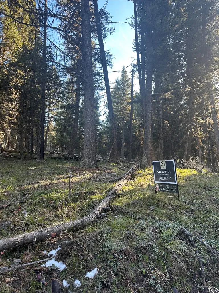 1274 Grandview Drive Seeley Lake MT 59868