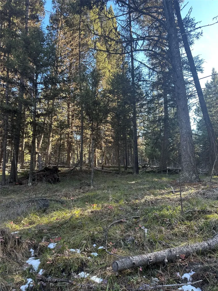 1274 Grandview Drive Seeley Lake MT 59868
