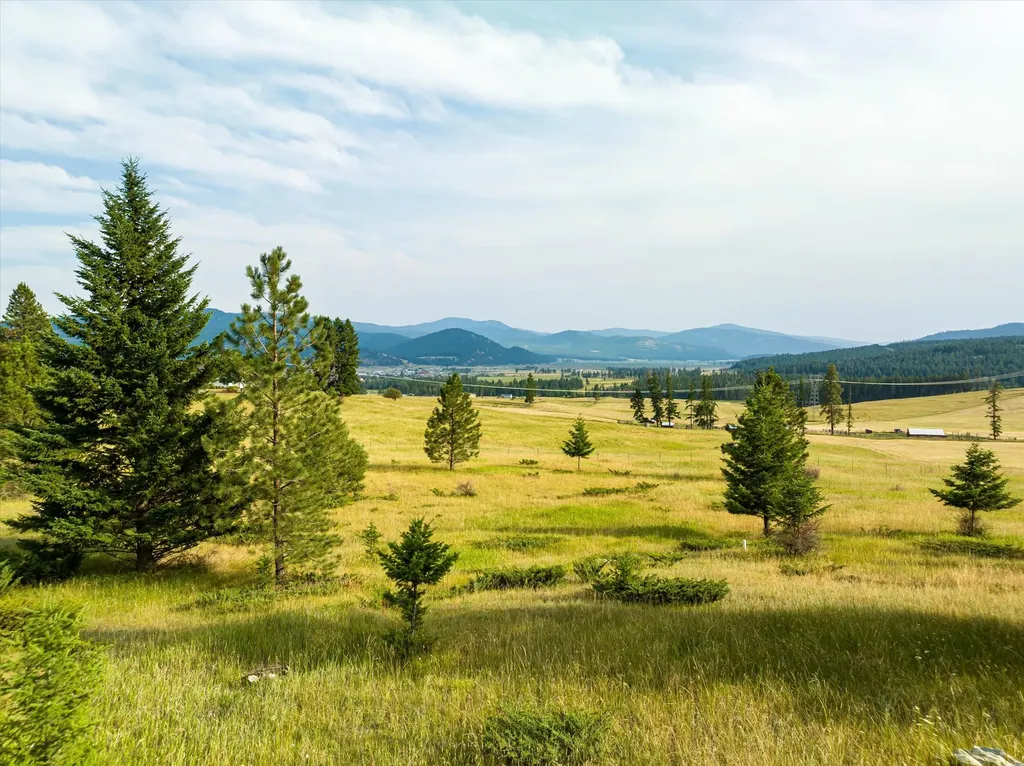 338 Boorman Lane Kalispell MT 59901