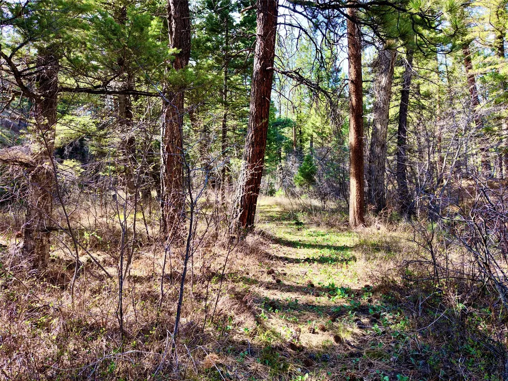 3925 Little Wolf Creek Road Wolf Creek MT 59648