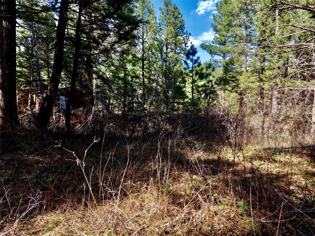 3925 Little Wolf Creek Road Wolf Creek MT 59648