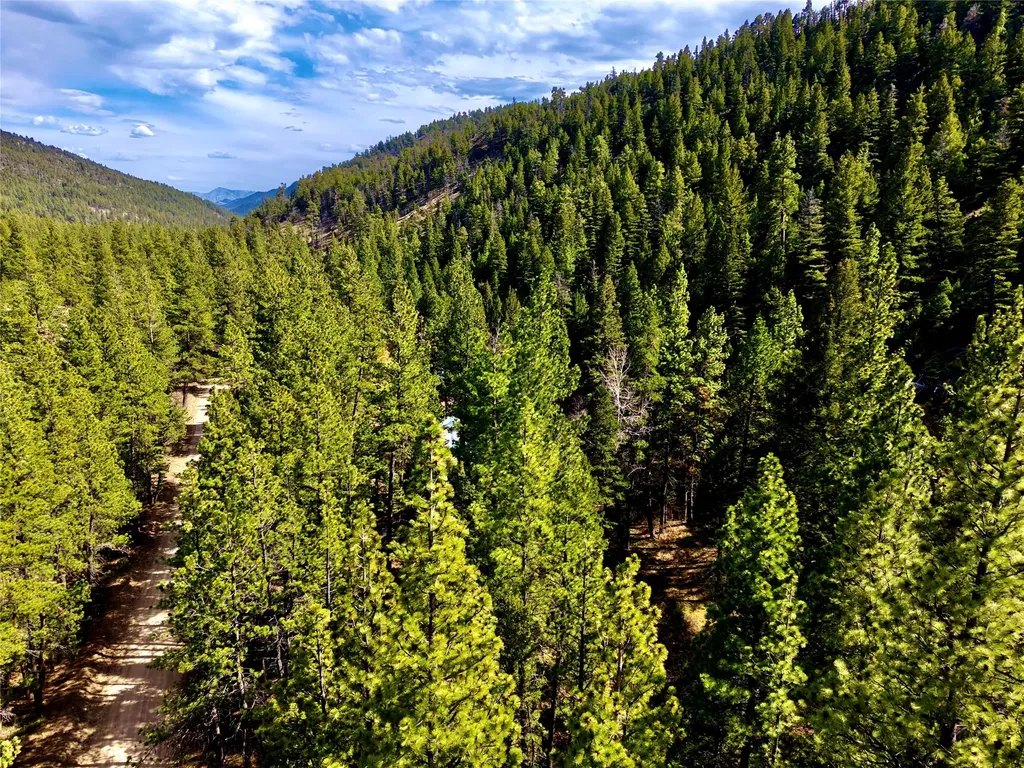 3925 Little Wolf Creek Road Wolf Creek MT 59648