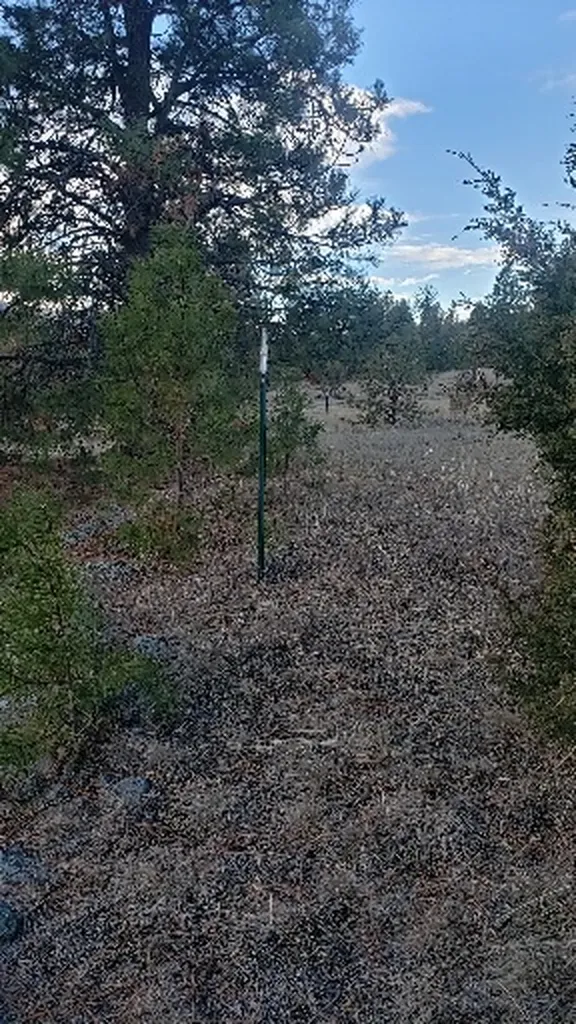 Tbd Early Dawn Drive Big Arm MT 59910