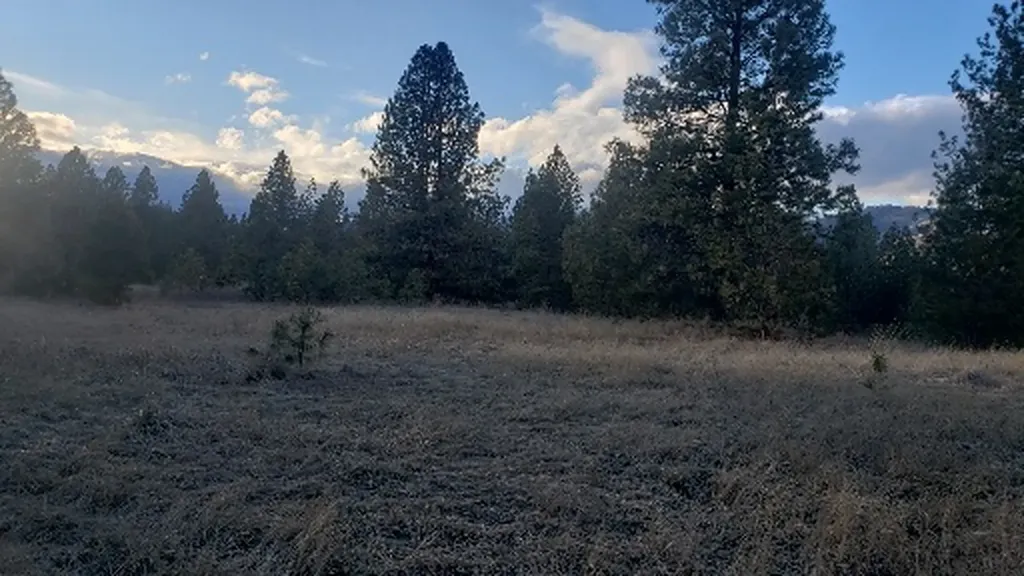 Tbd Early Dawn Drive Big Arm MT 59910