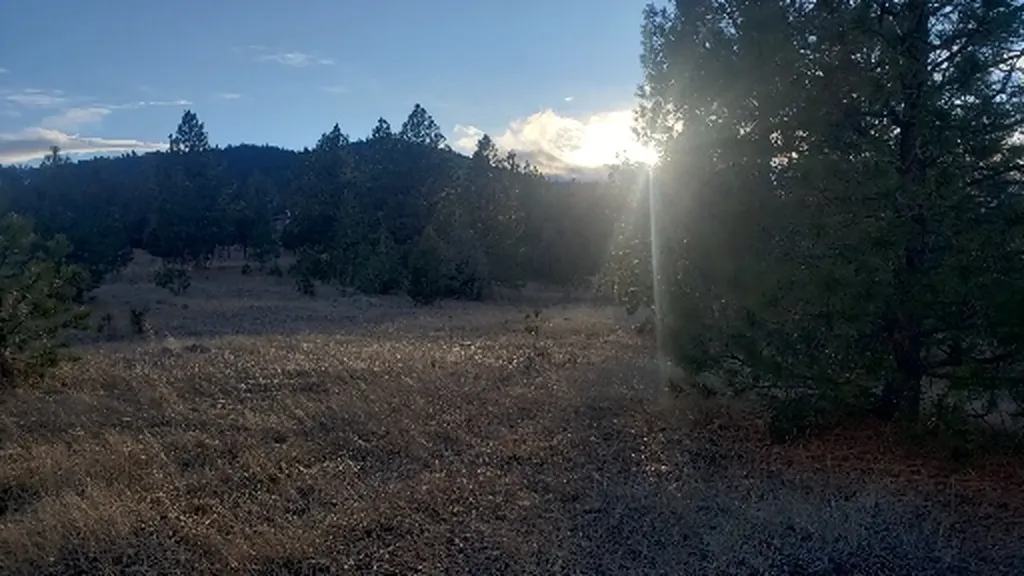 Tbd Early Dawn Drive Big Arm MT 59910