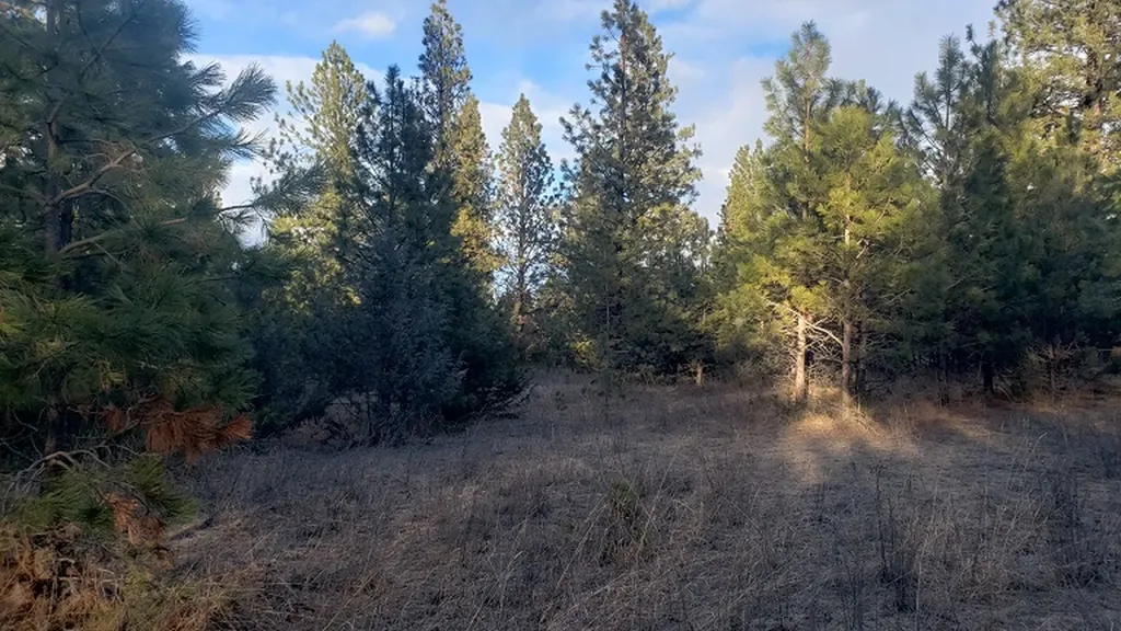 Tbd Early Dawn Drive Big Arm MT 59910