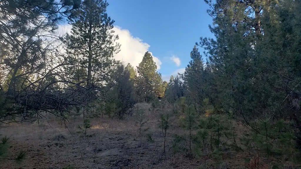 Tbd Early Dawn Drive Big Arm MT 59910