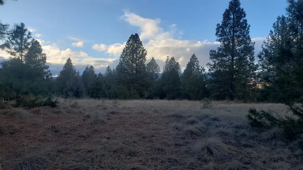 Tbd Early Dawn Drive Big Arm MT 59910