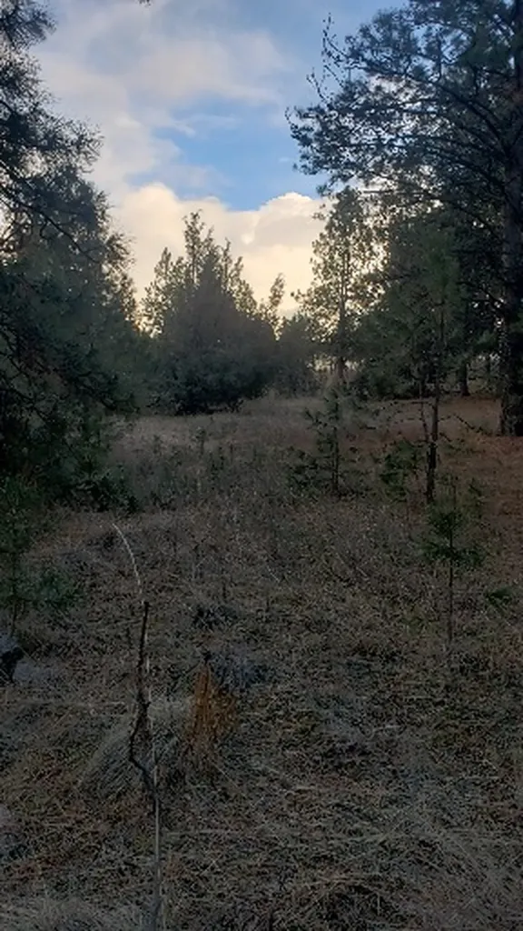 Tbd Early Dawn Drive Big Arm MT 59910