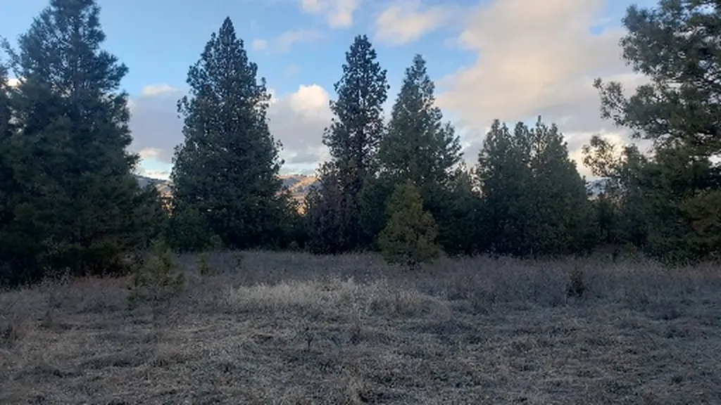 Tbd Early Dawn Drive Big Arm MT 59910