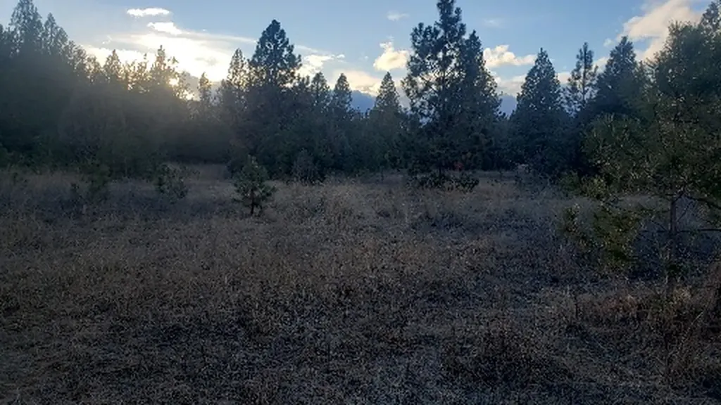 Tbd Early Dawn Drive Big Arm MT 59910
