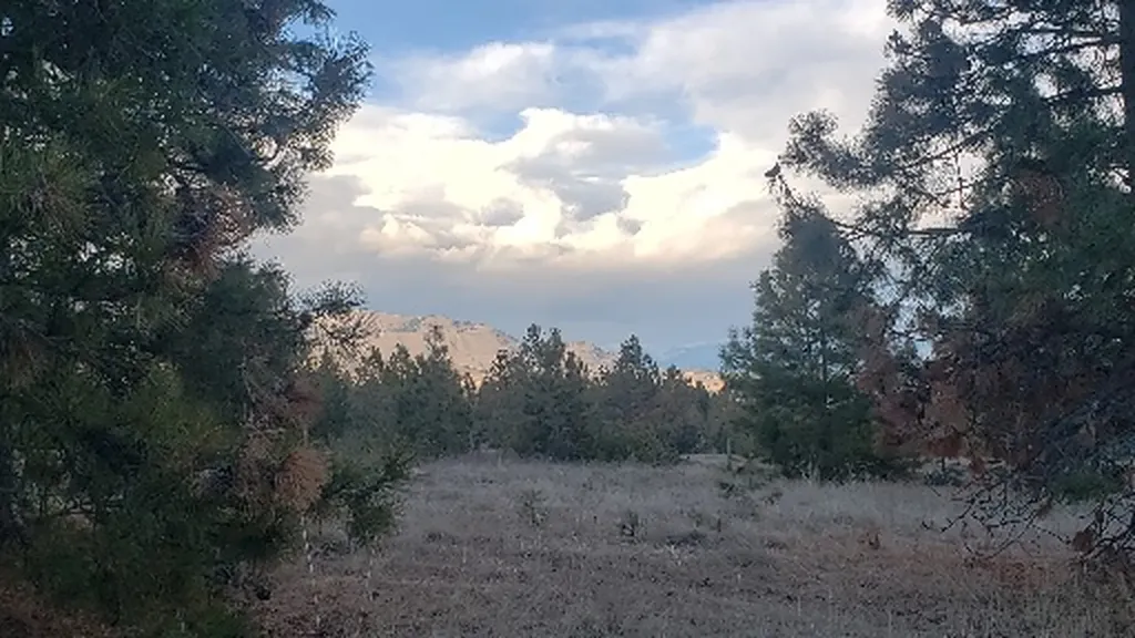 Tbd Early Dawn Drive Big Arm MT 59910