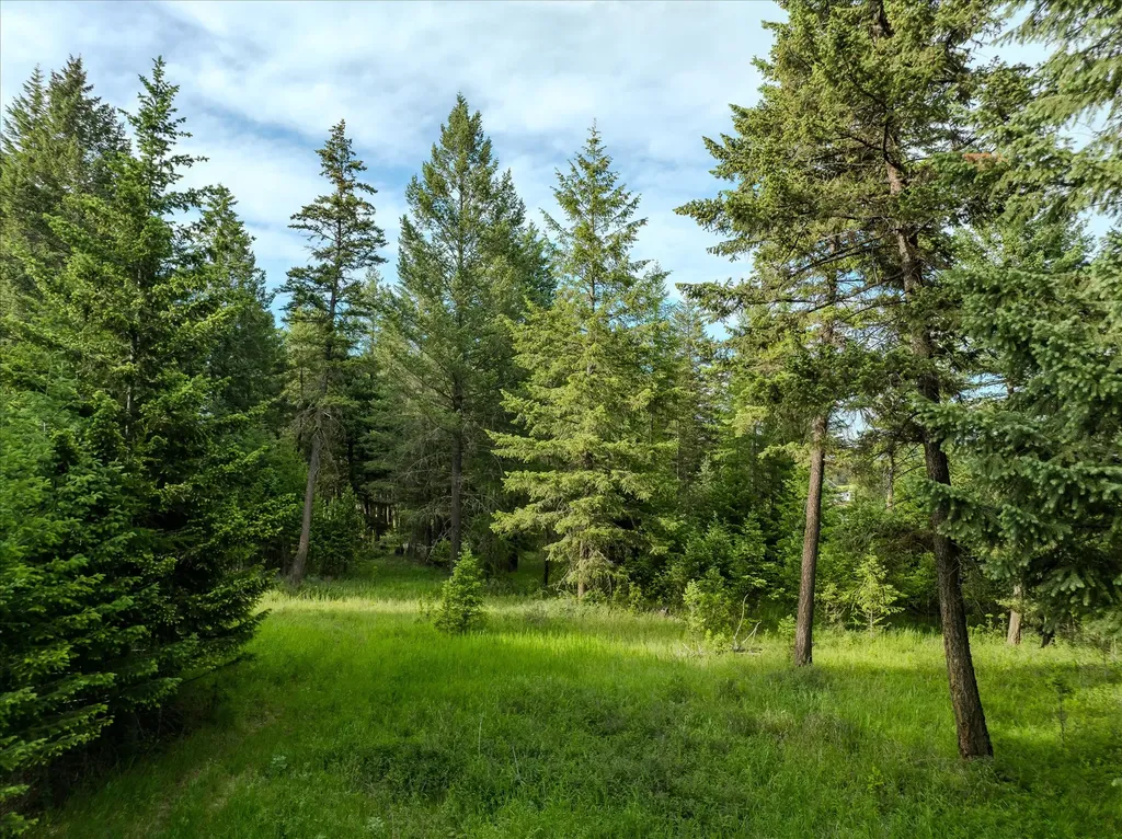 109 Lidstrom Road Whitefish MT 59937