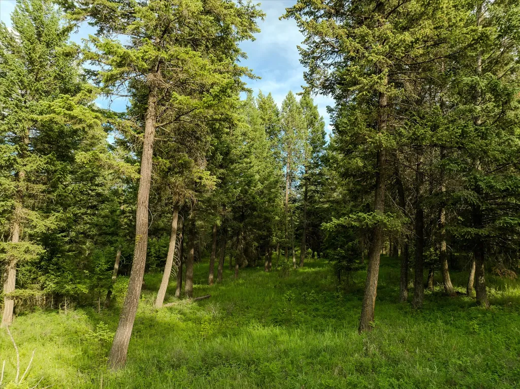 109 Lidstrom Road Whitefish MT 59937