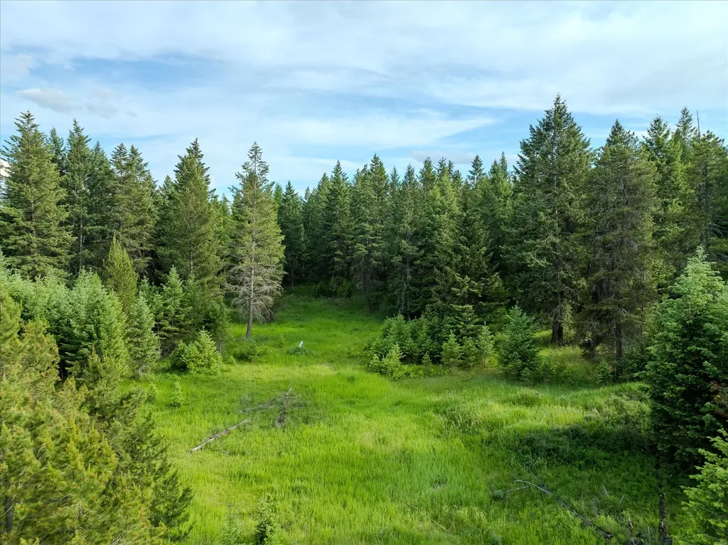 109 Lidstrom Road Whitefish MT 59937