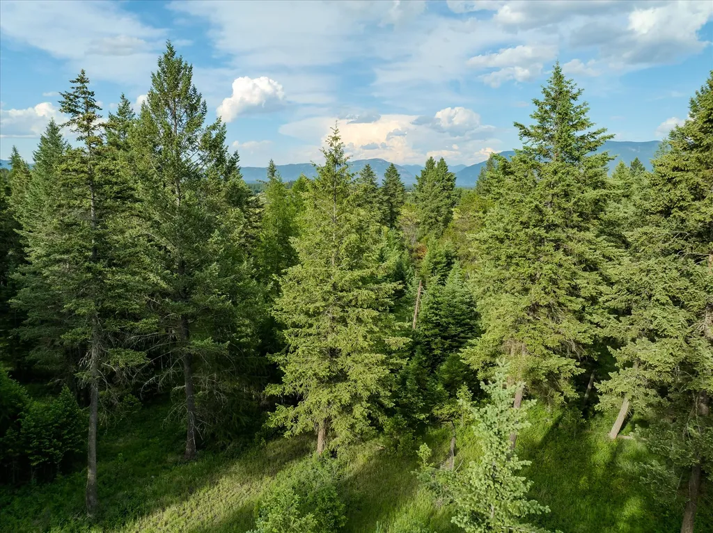 109 Lidstrom Road Whitefish MT 59937