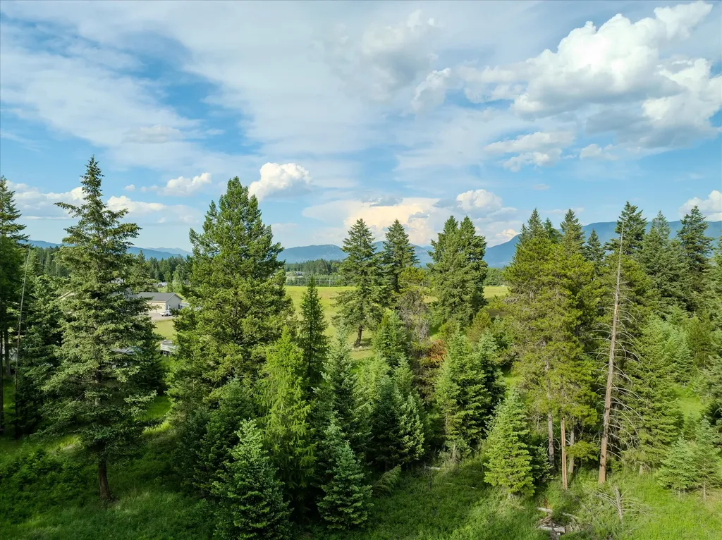 109 Lidstrom Road Whitefish MT 59937