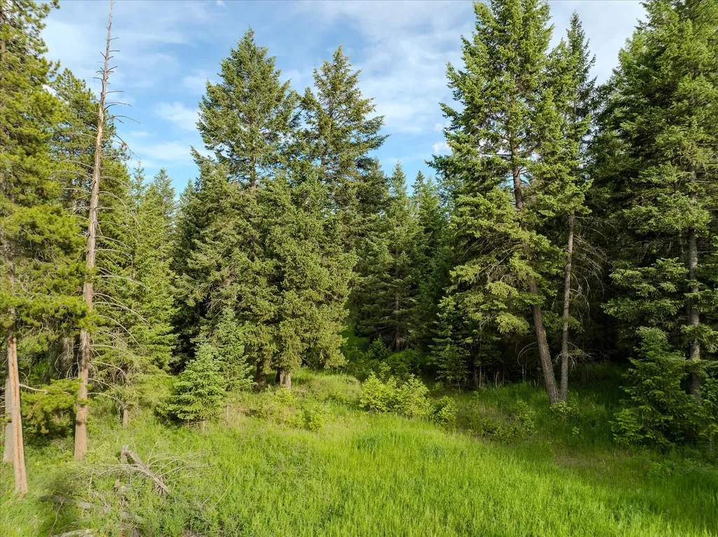 109 Lidstrom Road Whitefish MT 59937
