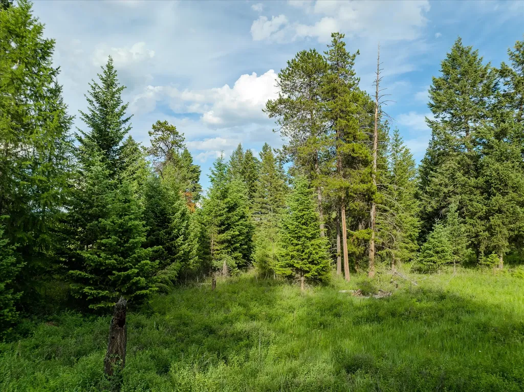 109 Lidstrom Road Whitefish MT 59937