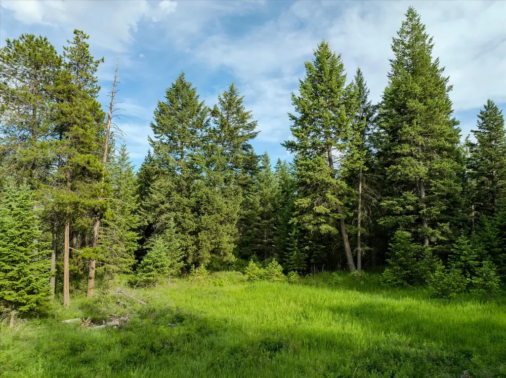 109 Lidstrom Road Whitefish MT 59937