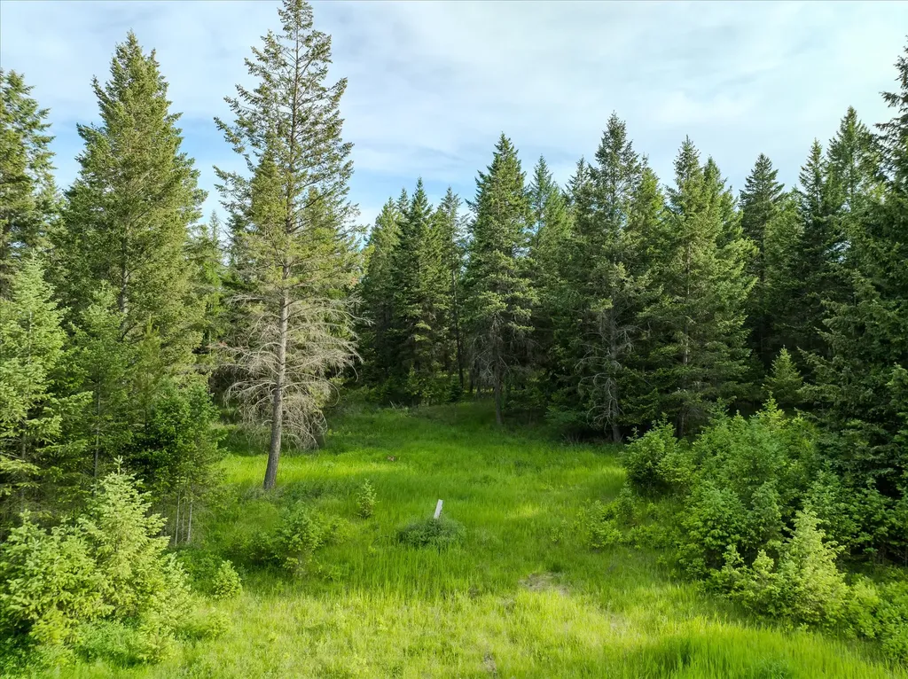 109 Lidstrom Road Whitefish MT 59937