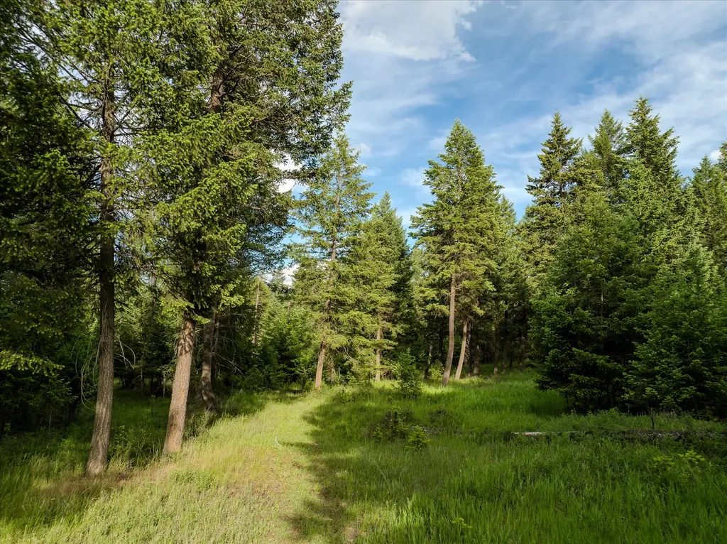 109 Lidstrom Road Whitefish MT 59937