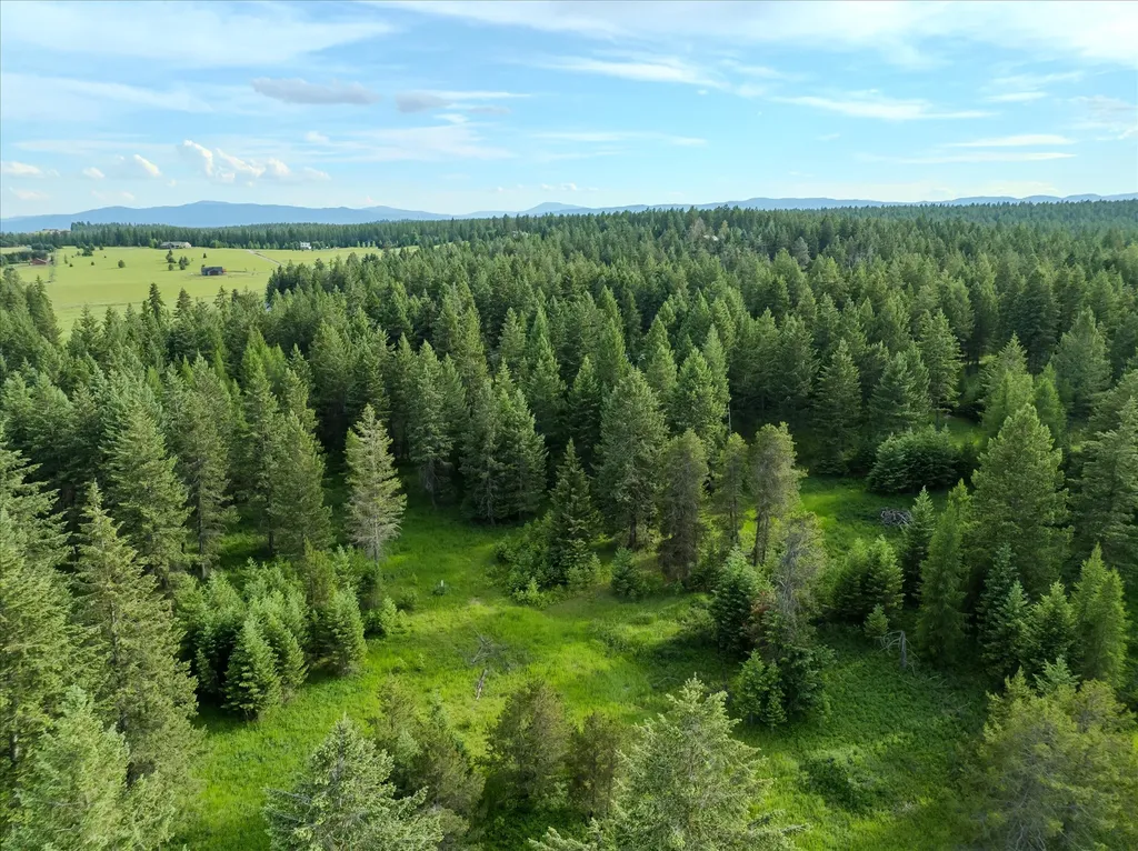 109 Lidstrom Road Whitefish MT 59937