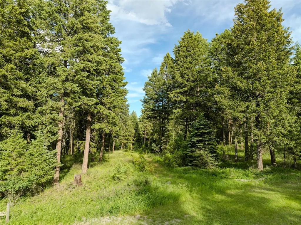 109 Lidstrom Road Whitefish MT 59937